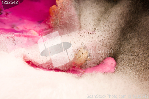 Image of Soup damaged by mold, extreme closeup of texture 