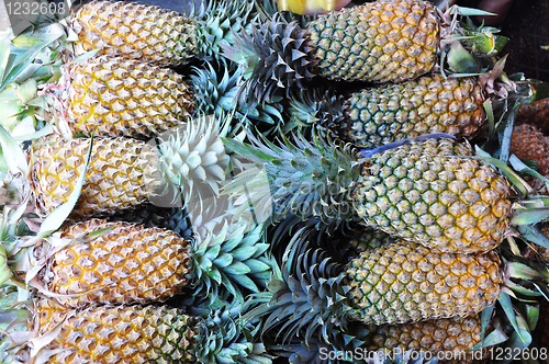 Image of Pineapples