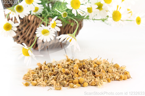 Image of Chamomile