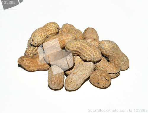 Image of Roasted Peanuts