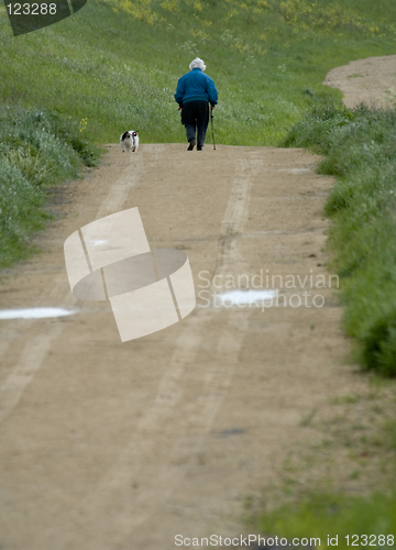 Image of Walking the dog