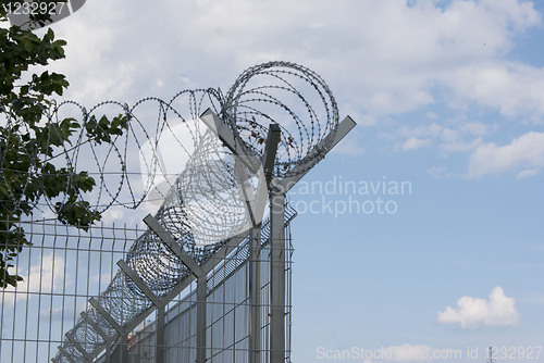 Image of Concertina on the fence