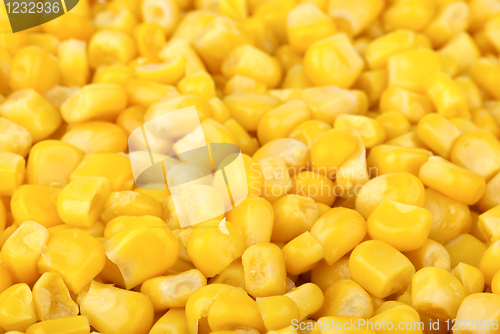 Image of Food background: prepared corn grains