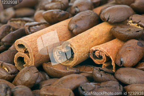 Image of Close-up shot: cinnamon sticks over the coffee beans