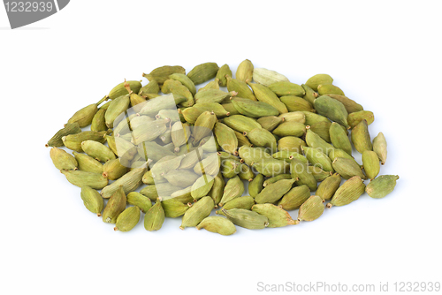 Image of Small pile of green cardamon seeds