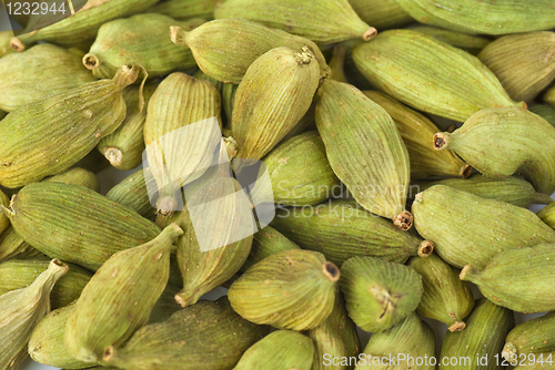 Image of Green cardamon seeds