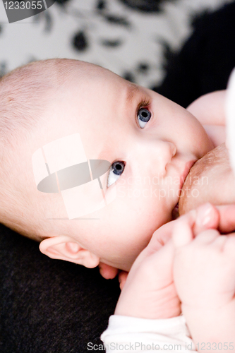 Image of  baby near mother's breast 