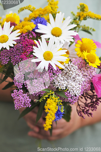 Image of Summer Flowers