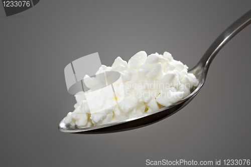 Image of Cottage cheese