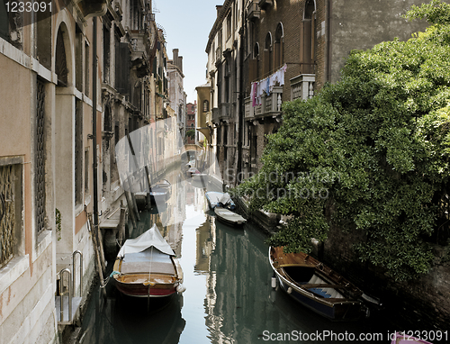 Image of Venice