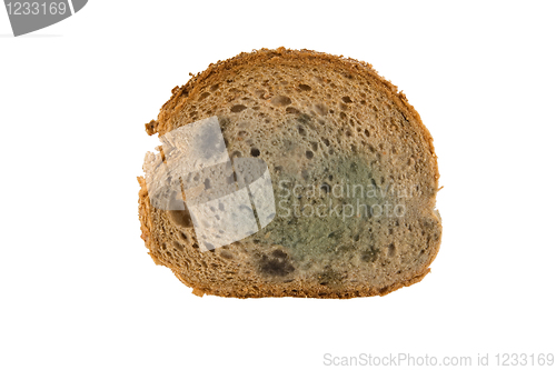 Image of slice of moldy bread