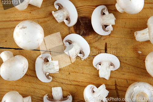 Image of fresh champignon mushroom