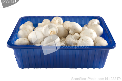 Image of Fresh champignion mushrooms in blue box 