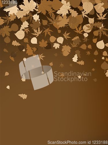 Image of Brown autumnal design template. EPS 8