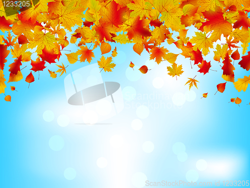 Image of Autumn leaves on blue sky. EPS 8