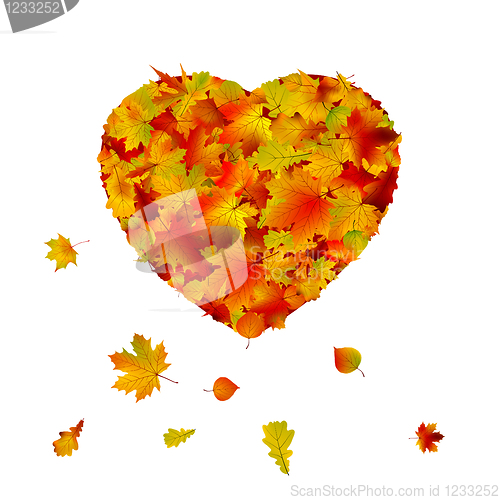 Image of Heart shape made from autumn leaf. EPS 8