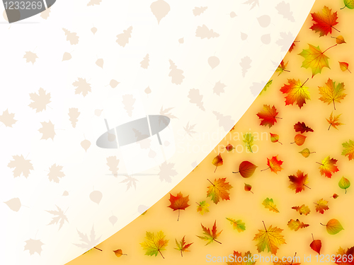Image of Colorful autumn leaves card. EPS 8