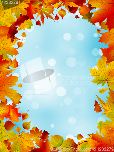 Image of Red and yellow leaves against blue sky. EPS 8