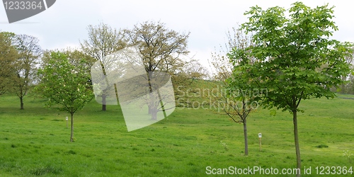 Image of Primrose Hill, London