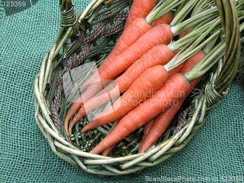 Image of carrots