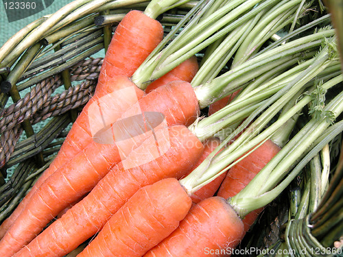 Image of carrots