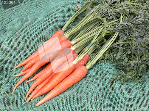 Image of carrots