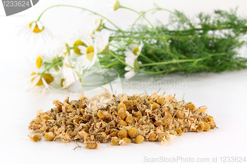 Image of Chamomile