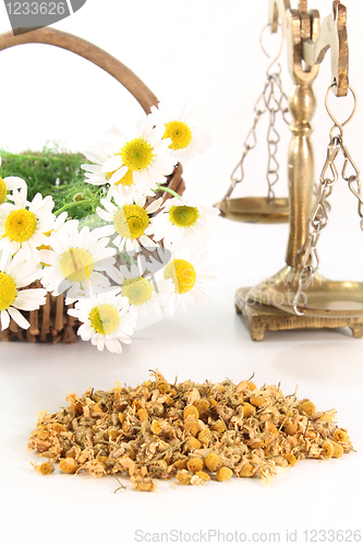 Image of Chamomile