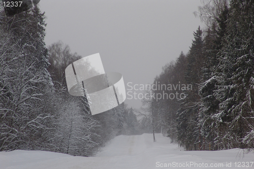 Image of Winter road