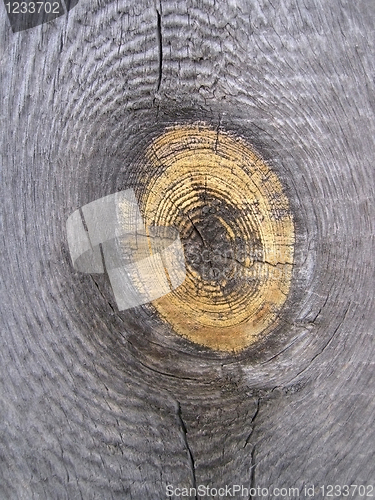 Image of old wood texture