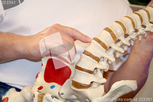 Image of chiropractor pointing at spine