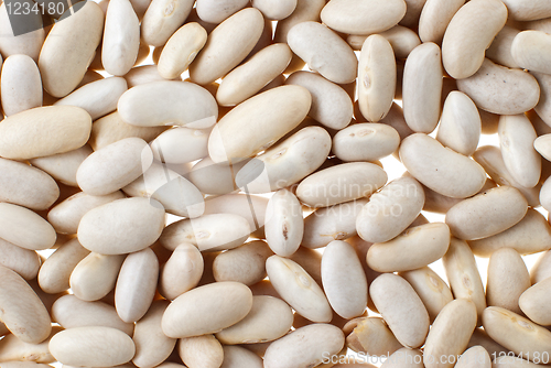 Image of White bean background