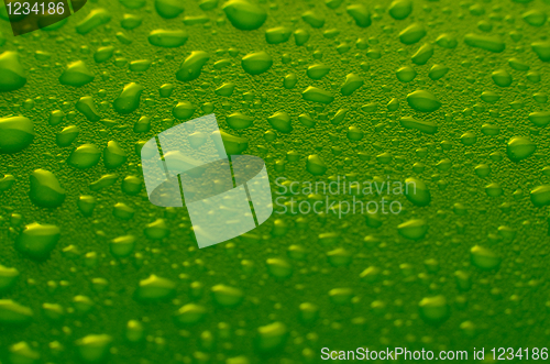 Image of Green water drops
