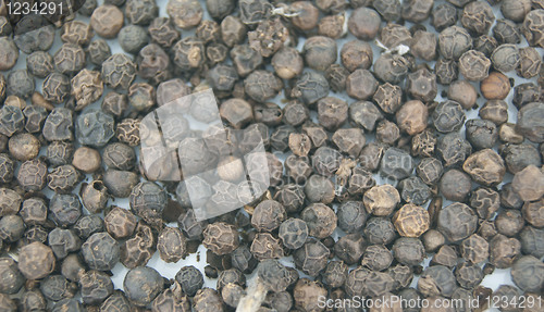 Image of Black pepper