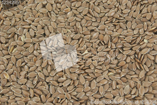 Image of Linen seeds as a background