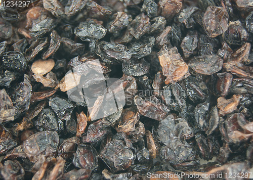 Image of Dried snowball berries