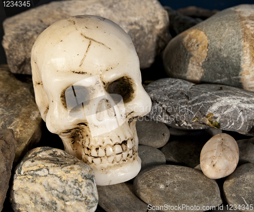 Image of Skull and rock