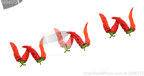 Image of WWW text composed of chili peppers