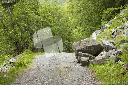 Image of Rockfall