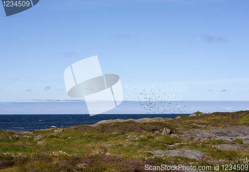 Image of Coastal landscape