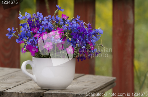 Image of wild flowers, carnation and cornflower