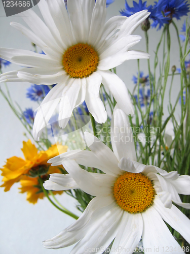Image of bouquet of flowers 