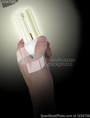 Image of Energy Saving Bulb in Hand