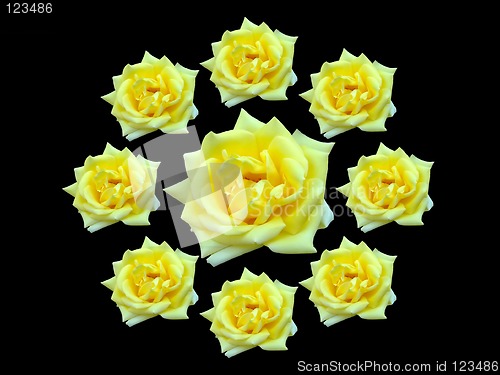 Image of Bunch of roses