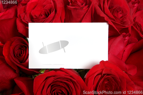 Image of Anniversary or Valentine Blank Message Card Surrounded by Red Ro