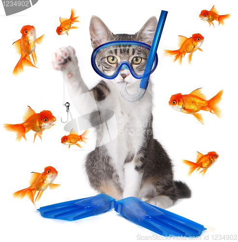 Image of Funny Image of a Cat Fishing. Conceptually Analogous with the Te
