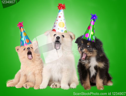 Image of Singing Birthday Puppy Dogs