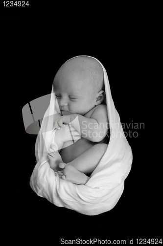 Image of A Newborn Baby Swaddled in a Blanket Sleeping Soundly