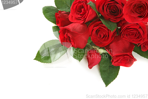 Image of Roses With Copy Space for Your Text or Image