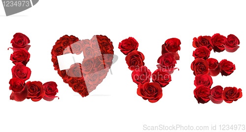 Image of LOVE Spelled With Individual Roses on White Background
